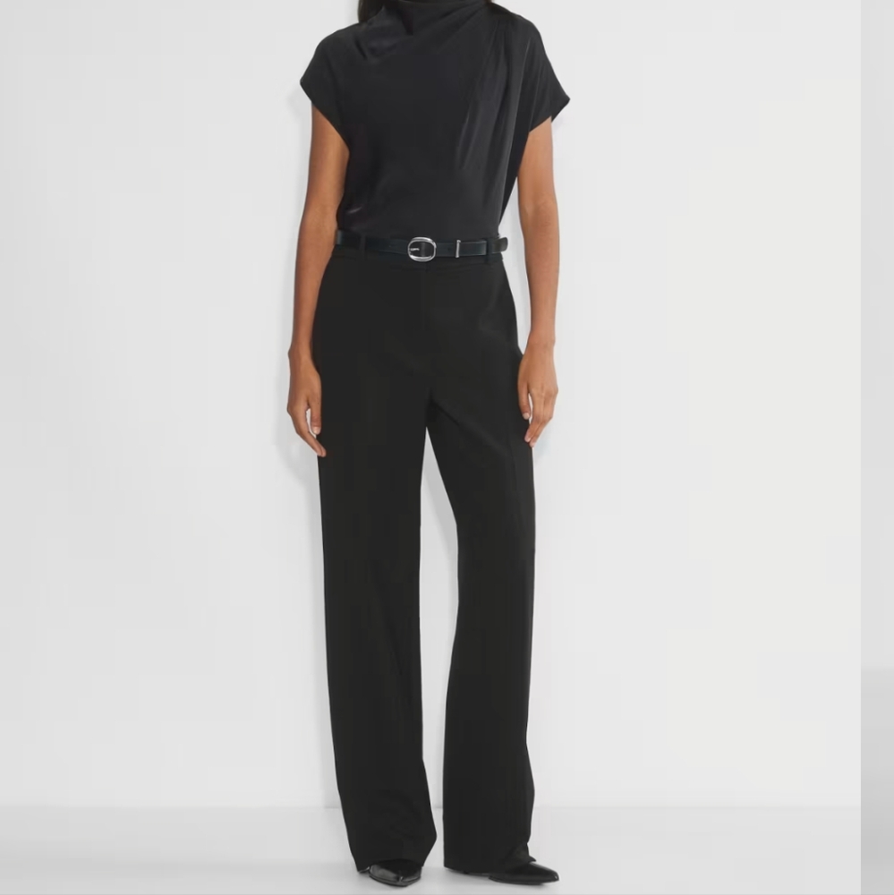 NWT Aritzia Babaton Agency Pant size 2